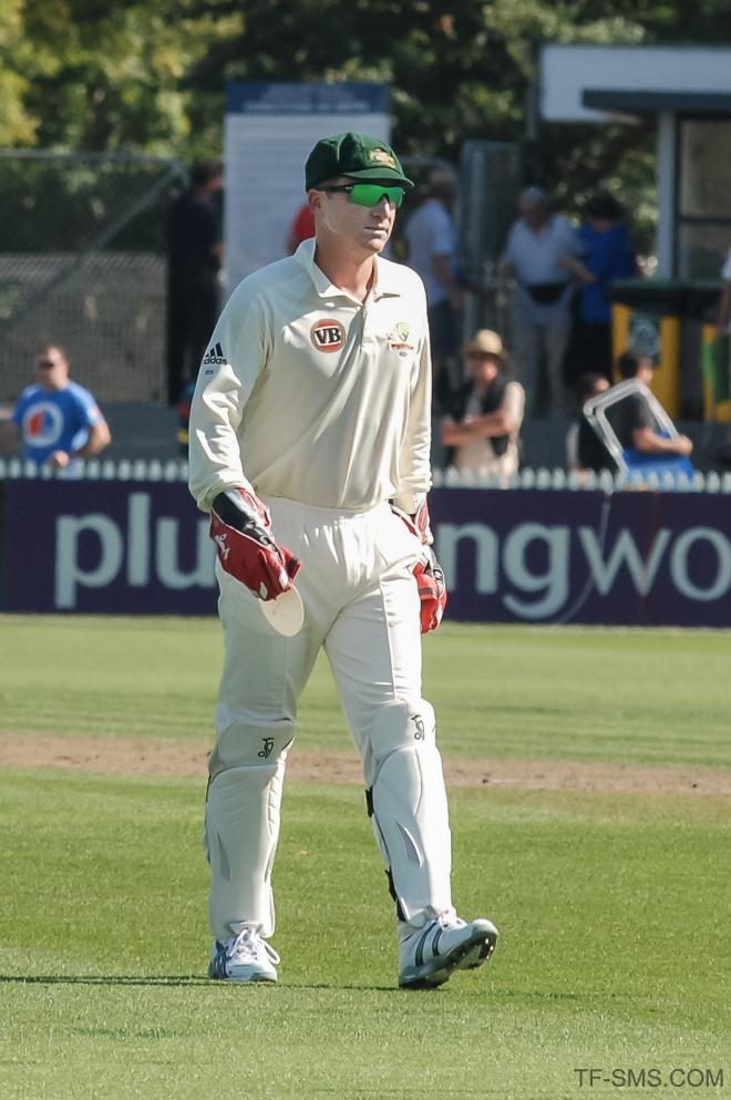 Brad Haddin