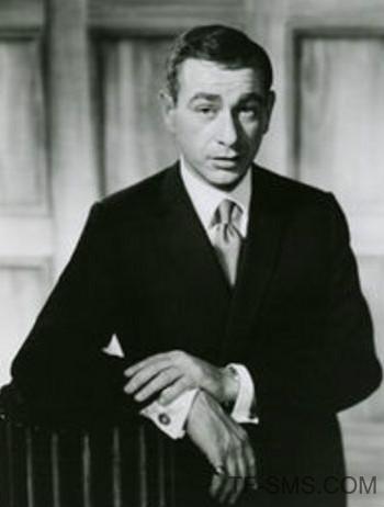 Shelley Berman