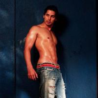 Dino Morea