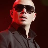 Pitbull