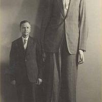 Robert Wadlow