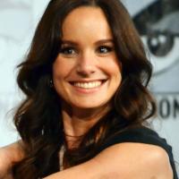 Sarah Wayne Callies